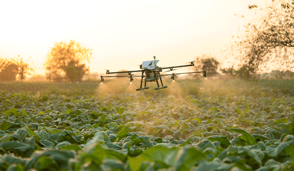 Agriculture field project
